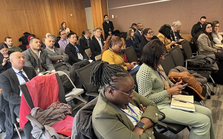 GIST side event at UNSC56