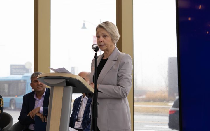 Opening Remarks - Vice Chancellor Lisa Phillips