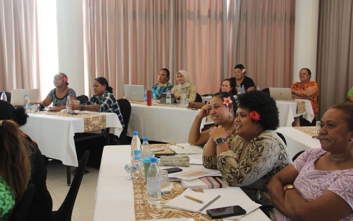 2023 UNITAR Disaster Risk Reduction Training Programme Held in Tonga