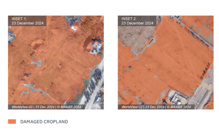Cropland Damage in Gaza and Khan Younis Governorate