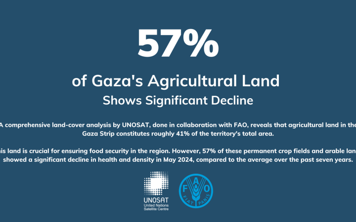 UNOSAT and FAO Reveal Substantial Decline in Gaza's Agricultural Health Amid Ongoing Conflict 