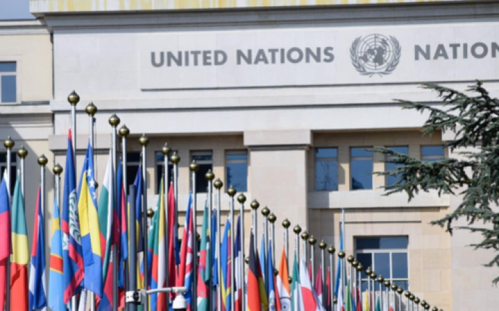 Law of International Organisations Course - Self Paced Track