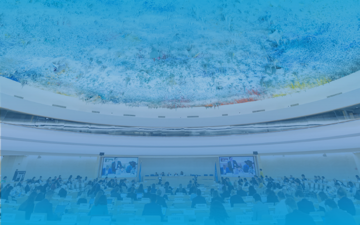 Image of Human Rights Council in session