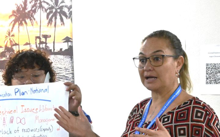 UNITAR Training Participant conducting a presentation using a large paper presentation material being held by another participant