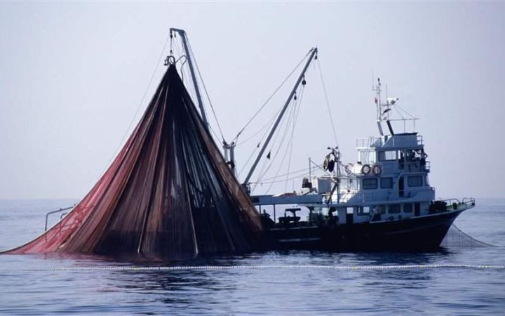 Courses on Law of the Sea | UNITAR