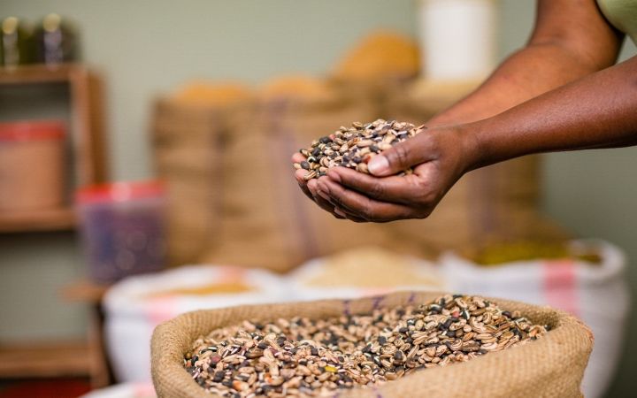 UNITAR and Africa Pastoralist Empowerment Organization Partner to Advance Sustainable Agriculture and Food Security 