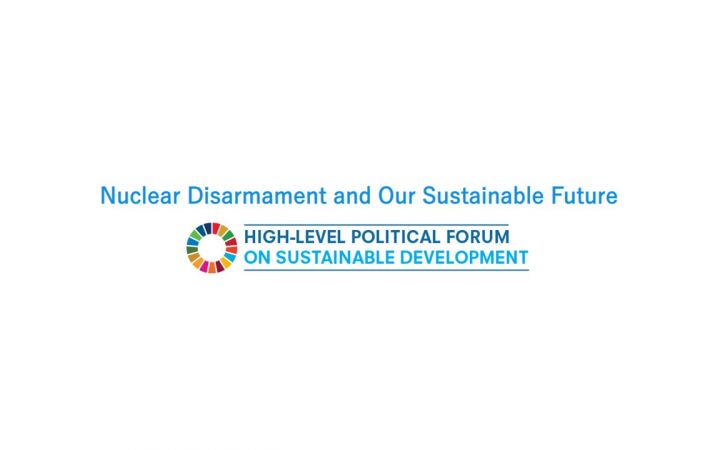 Nuclear Disarmament and Our Sustainable Future Logo