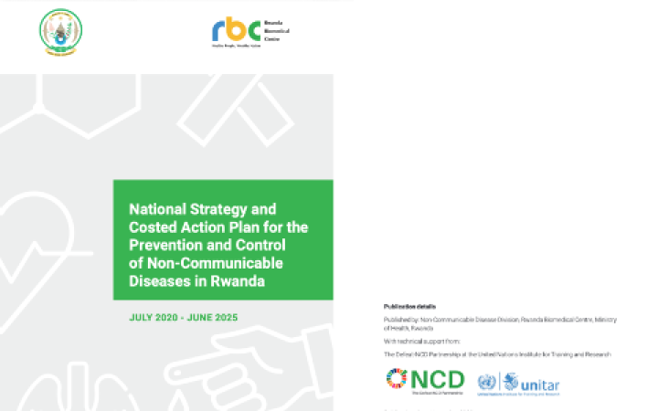 Screenshot of the Costed Action Plan published by Ministry of Health, Rwanda