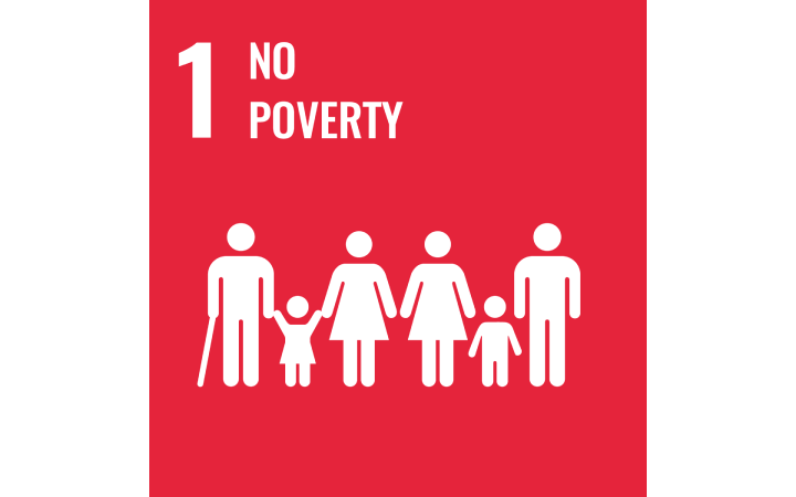 No poverty
