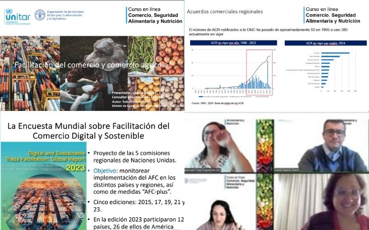Images of flyers for the UNITAR-FAO Training and Online Webinar