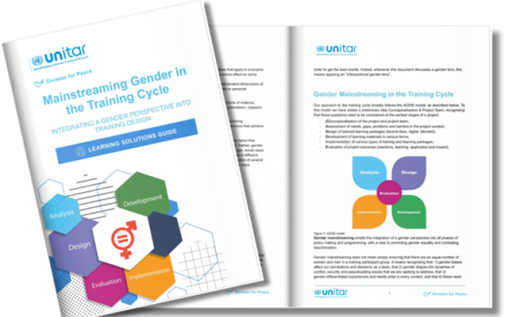 Gender Mainstreaming in the Training Cycle