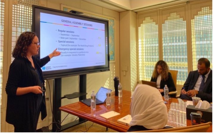Ms. Susan Goard leading the General Assembly Documents Research module