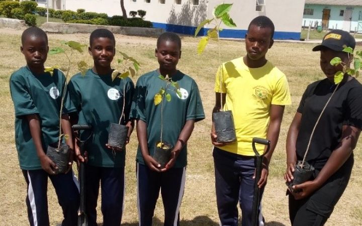 Climate change club at Murape Secondary School: planting trees