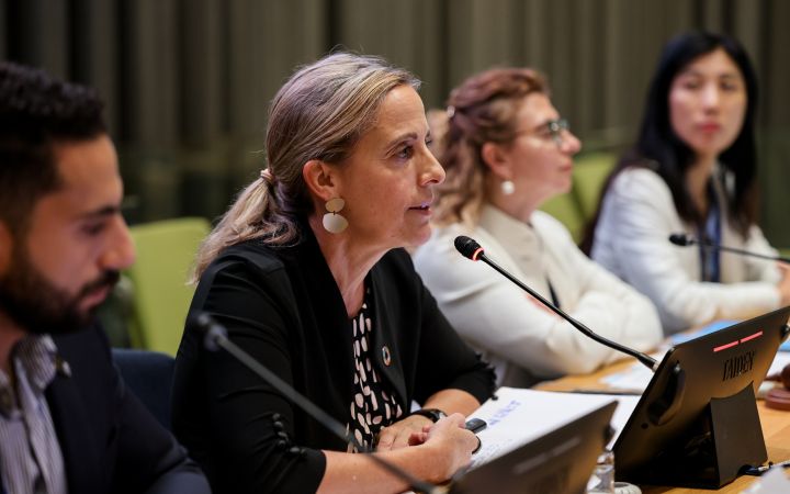Technical experts from UNESCO, UN-DESA and WMO present on the Capacity Development Initiative for SDG 6, hydrological services and integrated flood management.