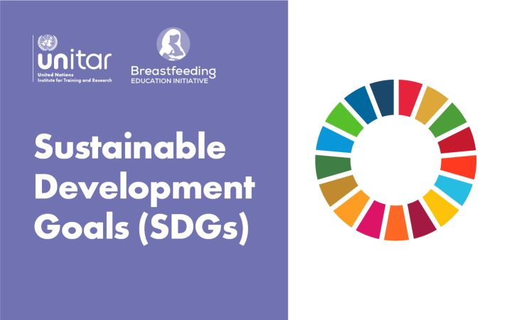 BFEI SDGs
