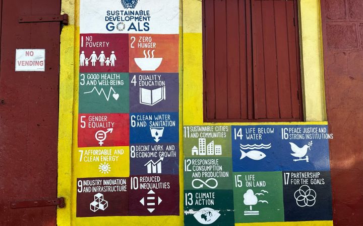 SDGs Networks