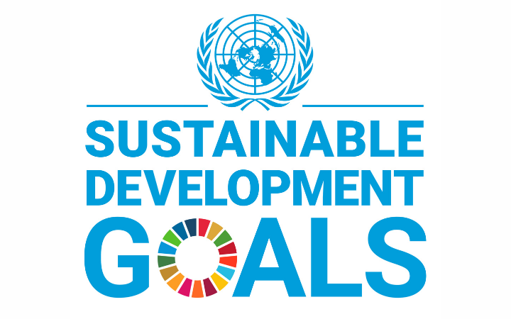 Sustainable Development Goals Logoo