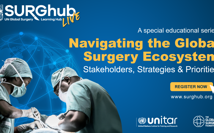 Navigating the Global Surgery Ecosystem