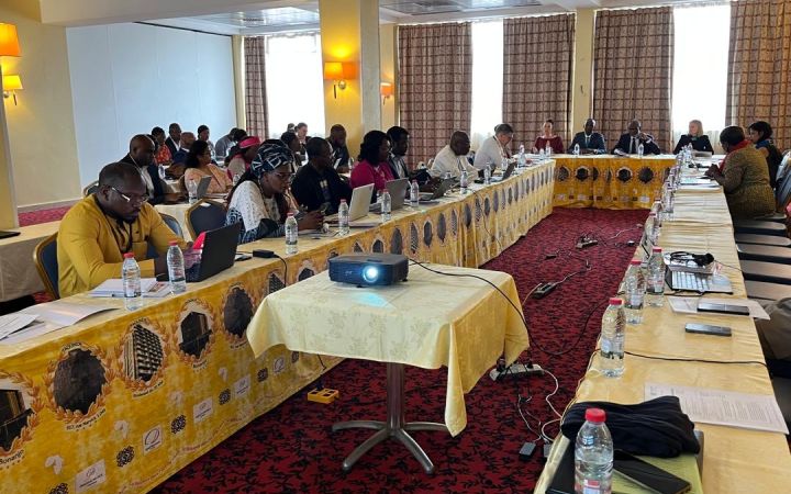 Systems thinking and strategic foresight workshop for UNCT Cameroon2