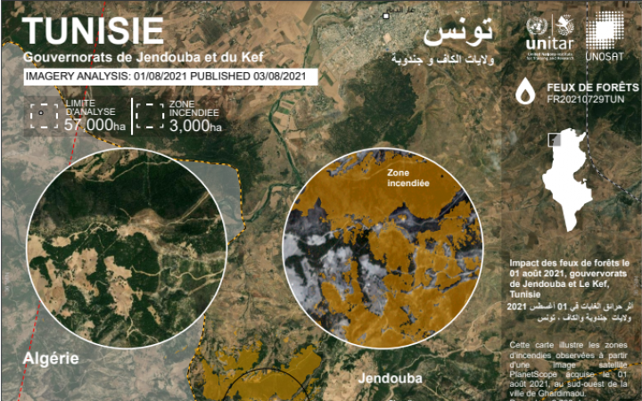 Impact des feux de forêts le 01 août 2021, gouvervorats de Jendouba et Le Kef, Tunisie