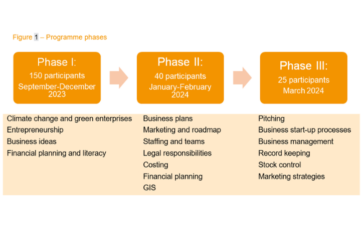 Figure 1 - Programme Phases