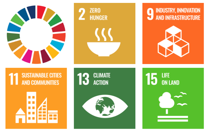 Contribution to Sustainable Development Goals