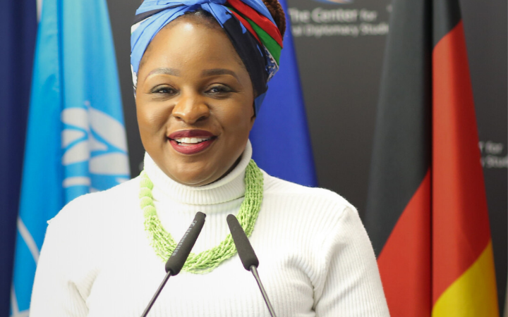 ICD-UNITAR Executive Diploma Programme in Cultural Diplomacy, International Relations & Global Governance	