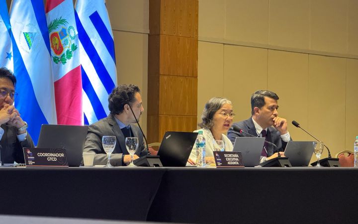 East Asian woman with grey hair speaks into a microphone at a conference table.