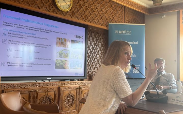 Kay Williams, Head, Global Framework on Chemicals