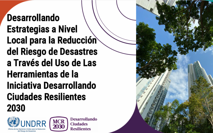 Cartel del curso