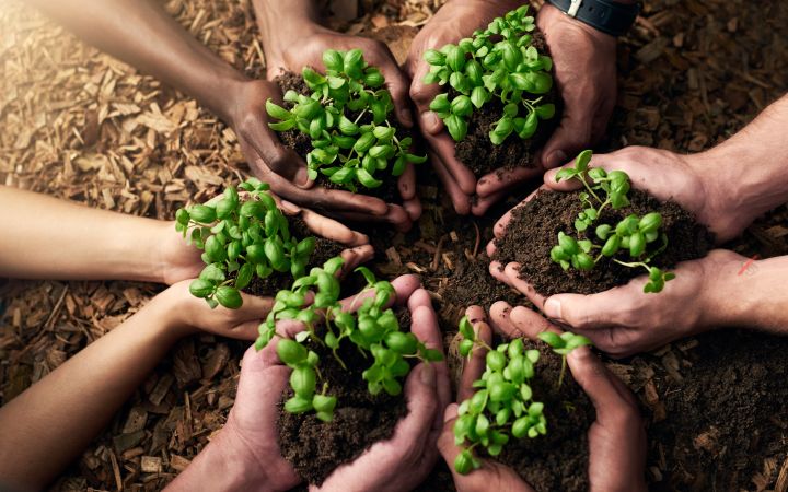 Sustainable Development: Idea, Process and Goal