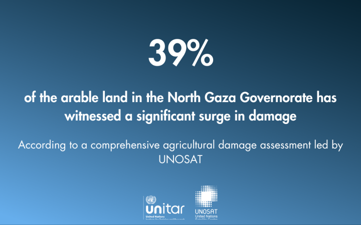 18% Agricultural Decline in Gaza Strip Amid Ongoing Conflict