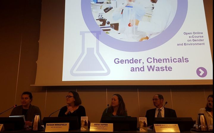 Gender, Chemicals and Waste Management online course presentation