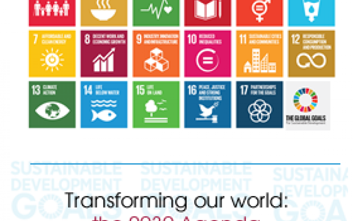 SDG banner