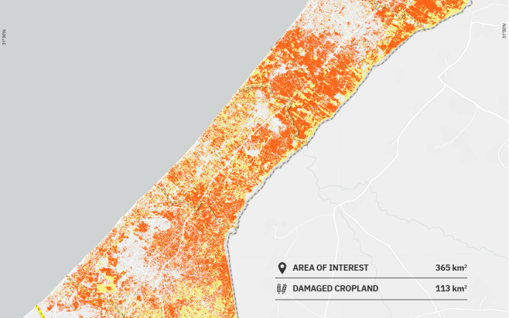 Imagery Analysis: 23 December 2024 (Occupied palestinian territory damage cropland assessment, Gaza strip)