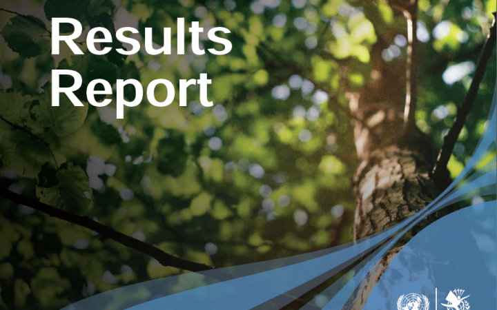 2019 Results Report (PDF)