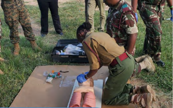 Independent evaluation of the Enhanced Training for Uniformed Medical Personnel Deploying to UN Peace Operations project