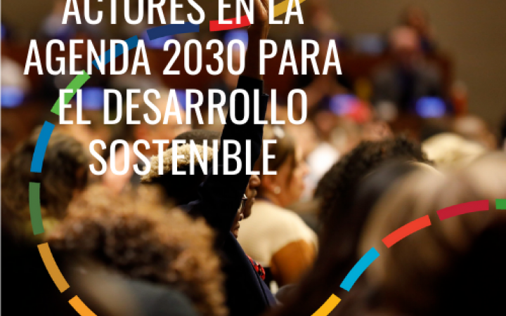 Participacion de Actores En La Agenda 2030 Para el Desarrollo Sostenible