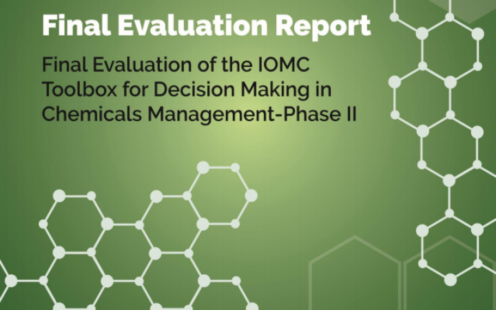 Final Evaluation of the IOMC Toolbox for Decision Making in Chemicals Management – Phase II