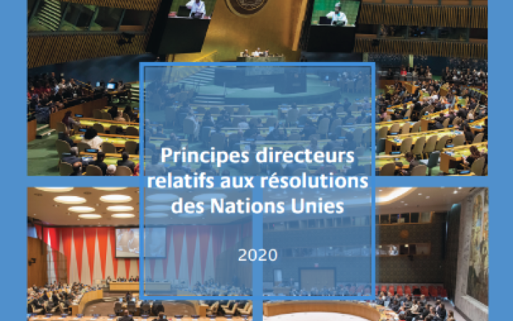 UN Resolution Guidelines Handbook French