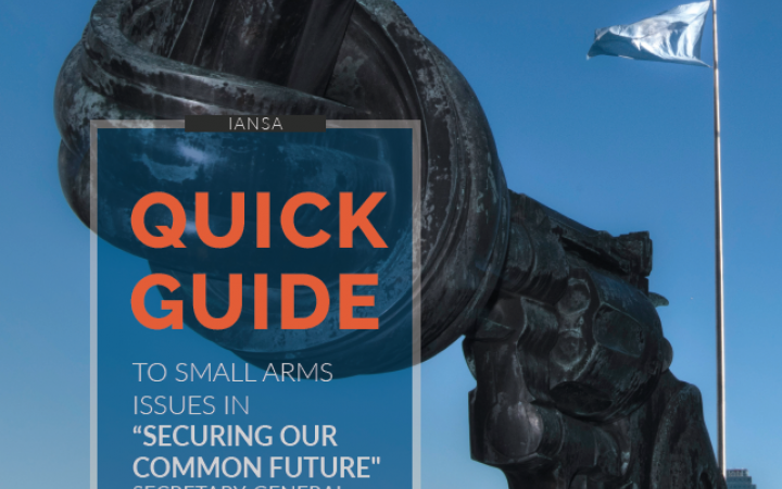 Quick Guide to Small Arms Issues in “Securing our Common Future” - English