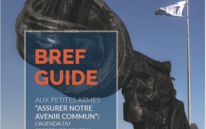 Bref Guide aux Petites Armes "Assurer Notre Avenir Commun" - Français