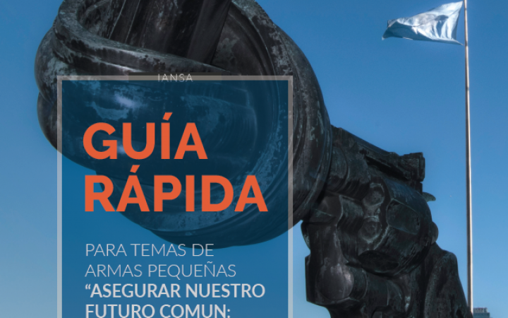 Guía Rápida para Temas de Armas Pequeñas “Asegurar Nuestro Futuro Comun” – Español