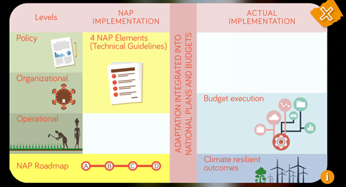 NAP implementation chart