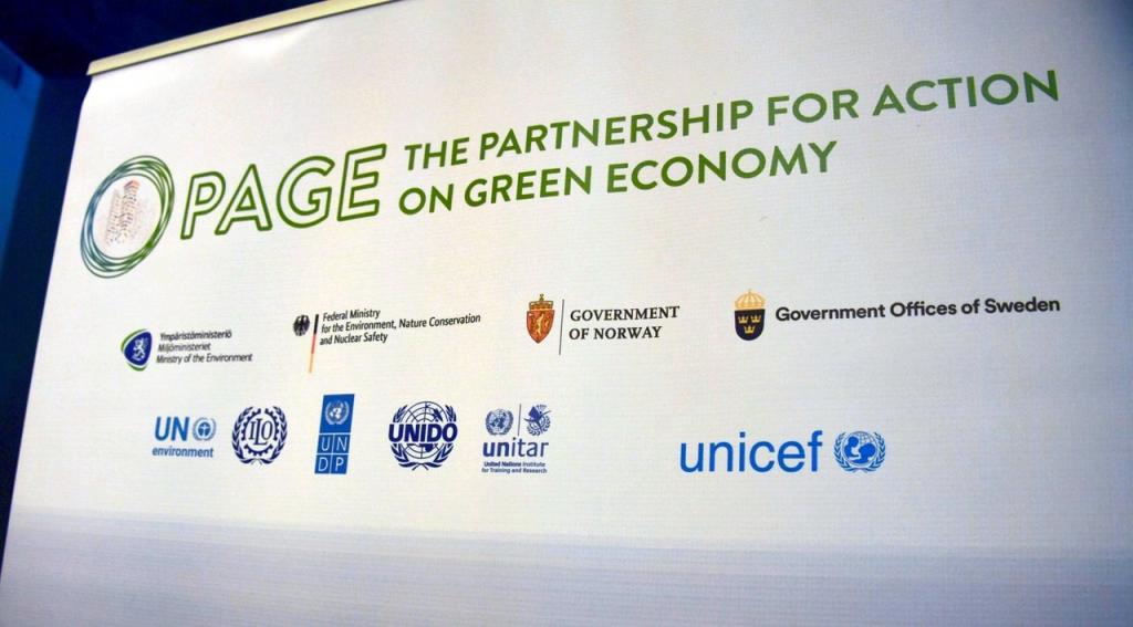 The Partnership for Action on Green Economy (PAGE)